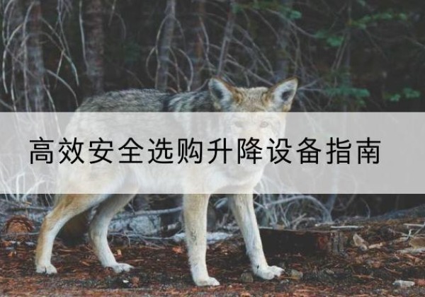 安仁升降货梯厂家推荐-*安全选购升降设备指南