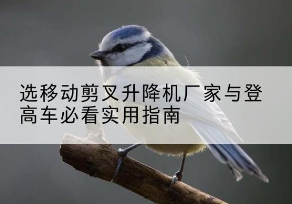 安仁电动升降机厂家-选移动剪叉升降机厂家与登高车必看实用指南