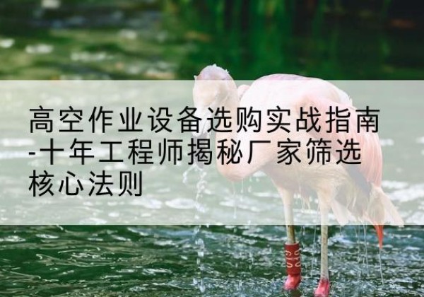 安仁剪叉式升降机厂家-高空作业设备选购实战指南-十年工程师揭秘厂家筛选核心法则